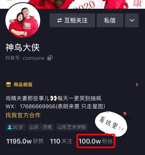 抖音电影直播版权申请详解（了解申请流程，快速获取版权使用权）