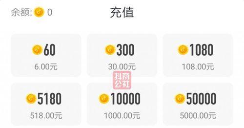 教你轻松兑换抖币，玩转抖音钱包！（抖音钱包兑换抖币方法详解，快来学习吧！）