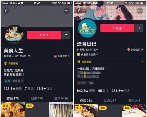 抖音主账号和子账号的区别（了解主账号和子账号的不同，打造属于自己的内容平台）