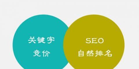 两当SEO（学会优化技巧，提升网站流量效果倍增）