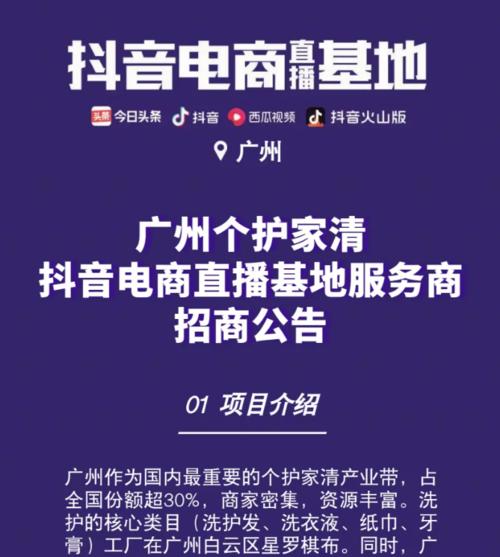 抖音电商知识产权保护平台盗图投诉攻略（打击盗图从我做起，抖音电商知识产权保护平台使用指南）