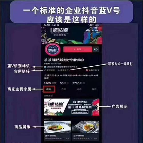抖音蓝v和黄v的区别是什么？（了解抖音认证的不同等级，提升用户信任度）