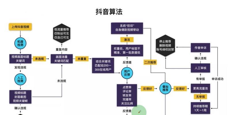 如何成功进入下一个抖音流量池？（学会这些方法，让你的抖音粉丝量飞速增长！）
