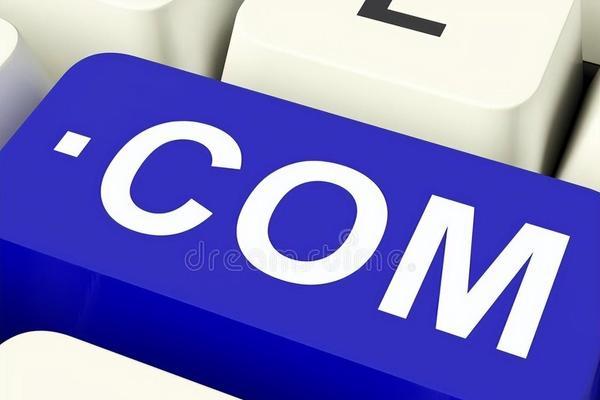 养蜘蛛技巧大全（掌握养蜘蛛的窍门，享受养蜘蛛的乐趣）