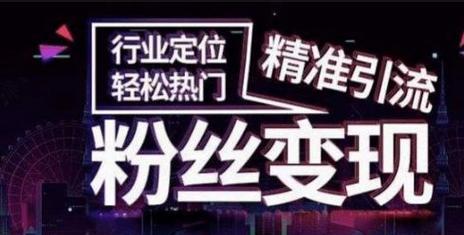 抖音粉丝不到1000如何认证抖音号（成为抖音认证用户的实用方法）