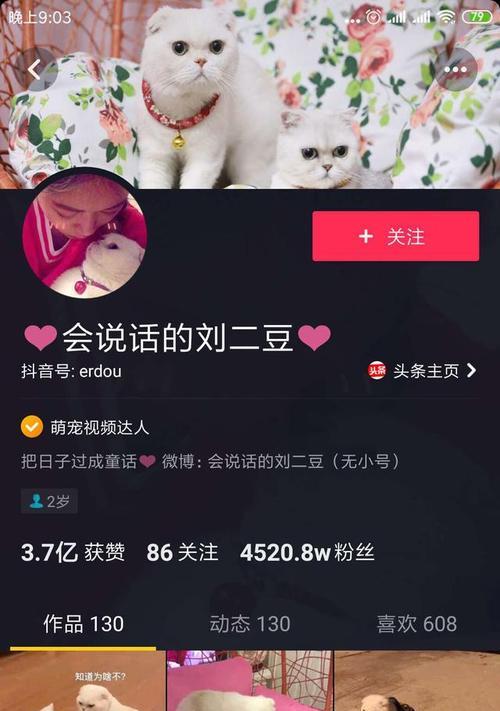 如何快速获得1000个抖音粉丝开启橱窗？（掌握这些技巧，橱窗一键开启！）