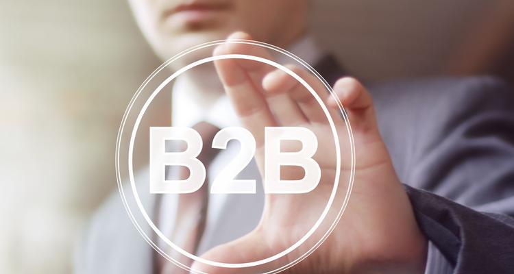 B2C网站建设方案及注意事项（打造成功的电商平台，关键在细节把控）