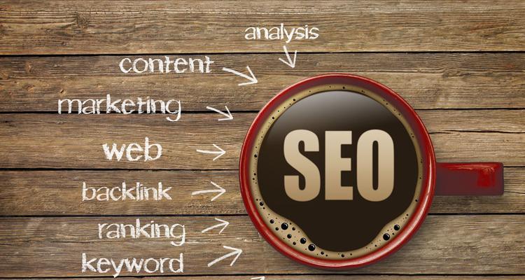SEO案例分析（探秘SEO优化的实战案例，揭示网站排名提升的奥秘）
