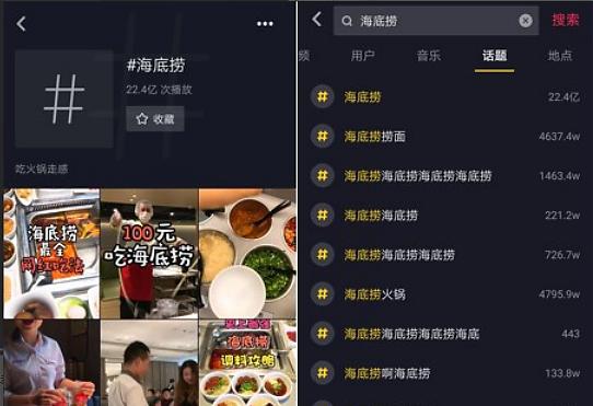 解密抖音品牌服务商（了解抖音品牌服务商的作用和价值）