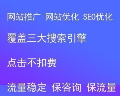 新网站如何进行SEO优化（建设新网站）