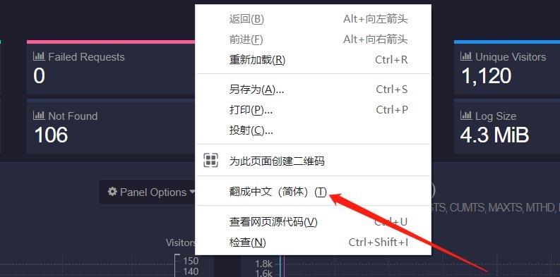 网站日志分析（掌握数据）