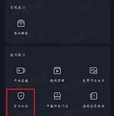 抖音蓝v认证详解（从申请流程到注意事项）