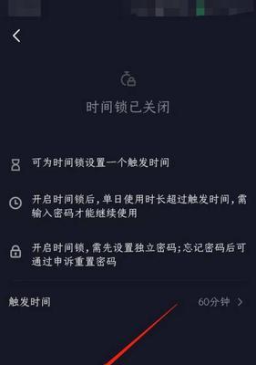 抖音垂直作品定位策略解析（深度剖析抖音垂直作品定位为主题的时间及关键因素）