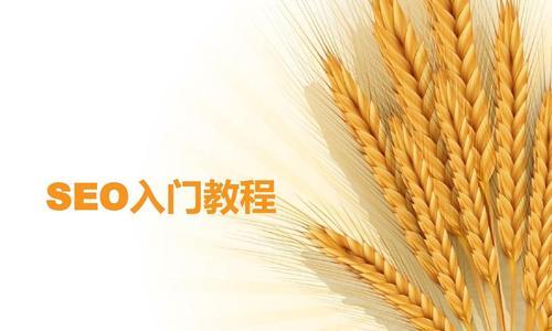 初学者如何学习SEO（各种方式和技巧）