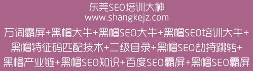揭秘SEO黑帽技术，如何避免被惩罚（黑帽SEO指南）