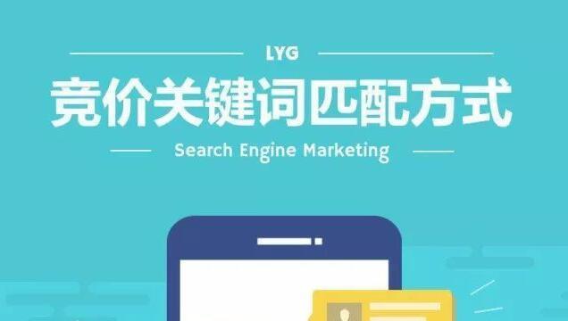 如何提高网站排名（掌握SEO优化技巧）