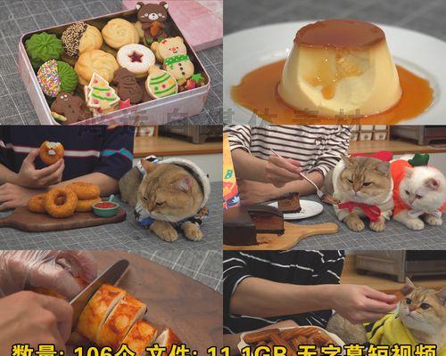揭秘抖音美食视频发布最佳时间，提高浏览量（在哪个时间段发布抖音美食视频可以获得更多的流量）