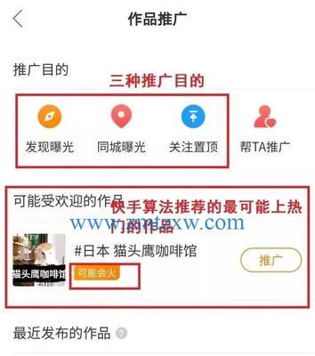 如何让别人快手永久封号（从举报到处罚的全流程解析）