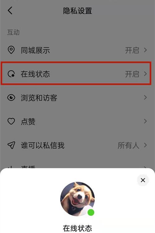 抖音私信功能详解（如何向别人发送私信）