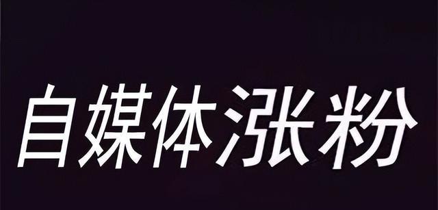 抖音标签使用技巧，轻松涨粉丝（掌握标签的使用方法）