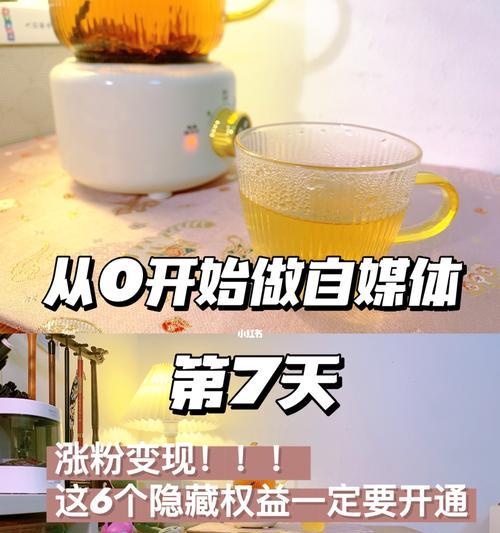 短视频直播操作指南（打造个人品牌）