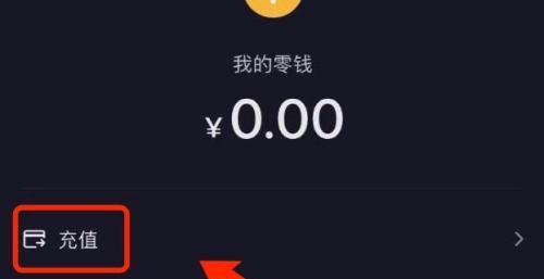 抖音抖加审核不通过，你的钱该怎么办（了解抖音抖加审核不通过的原因和处理方式）