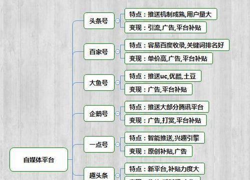 打造有影响力的抖音自媒体（从内容创作到推广）