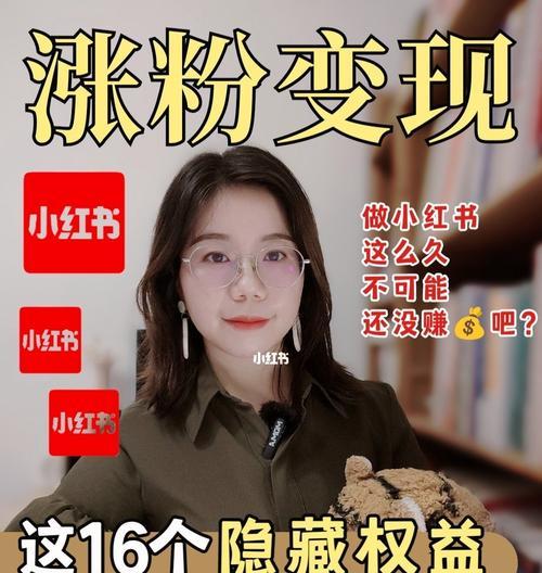 小红书退货运费怎么算？遇到退货问题怎么办？