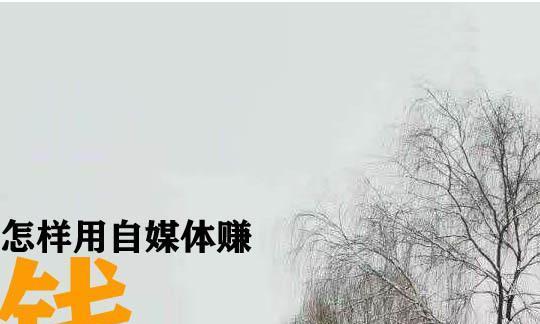 百家号限流后如何恢复流量？有效策略是什么？