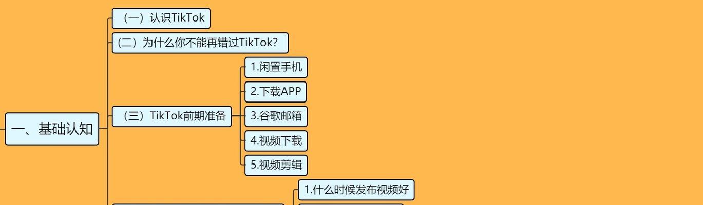 TikTok未授权账号访问政策是什么？如何处理未授权访问问题？