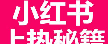 如何在小红书上快速增加粉丝？有效策略有哪些？