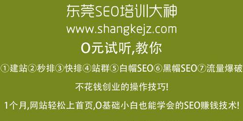 网站快照不更新怎么办？如何快速解决网站快照停滞问题？