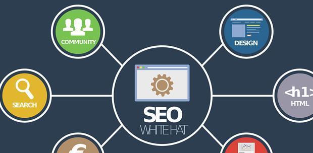 seo站群是什么？如何正确使用站群策略提高SEO效果？