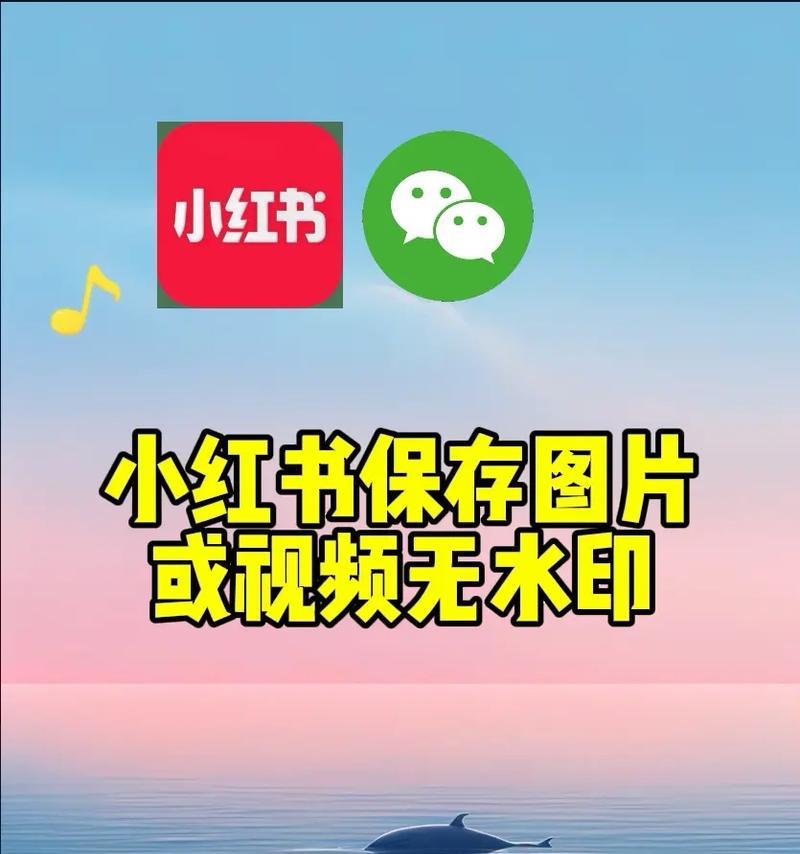 小红书视频下载助手怎么用？