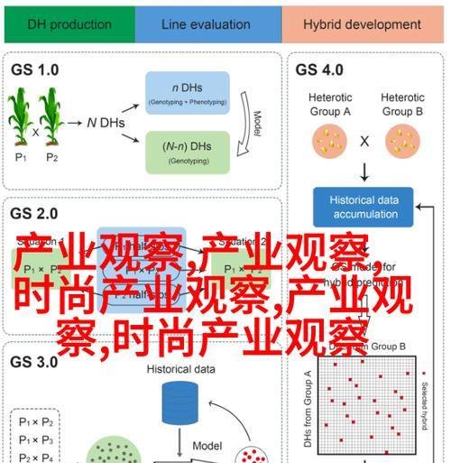 河北网站SEO优化的步骤是什么？如何提高效果？