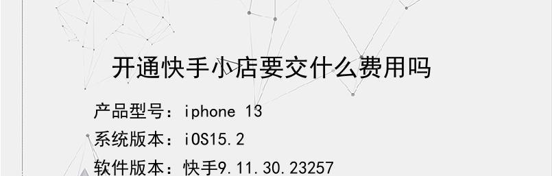 seo快排是什么意思？如何实现？