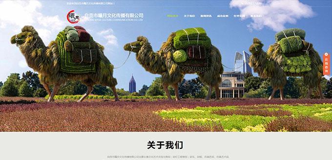 自贡网站建设哪家公司最专业？如何选择合适的网站建设服务商？