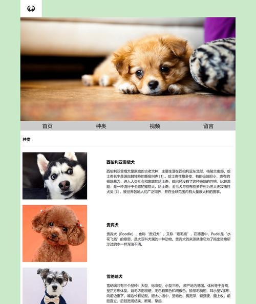 网页设计制作网站如何选择模板？设计要点有哪些？