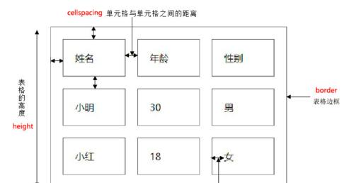 HTML元素有哪些分类？