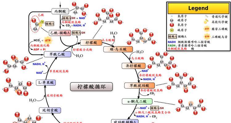 RUP开发过程第三阶段具体包含哪些内容？