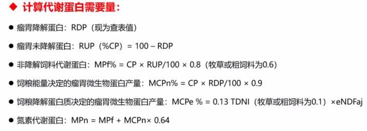 RUP开发过程第三阶段具体包含哪些内容？