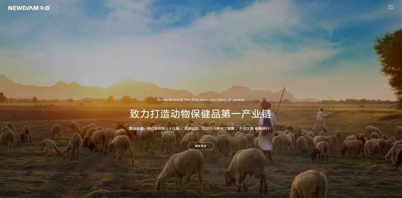 龙口网站建设哪家公司更专业？