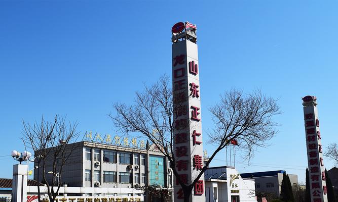 龙口网站建设哪家公司更专业？