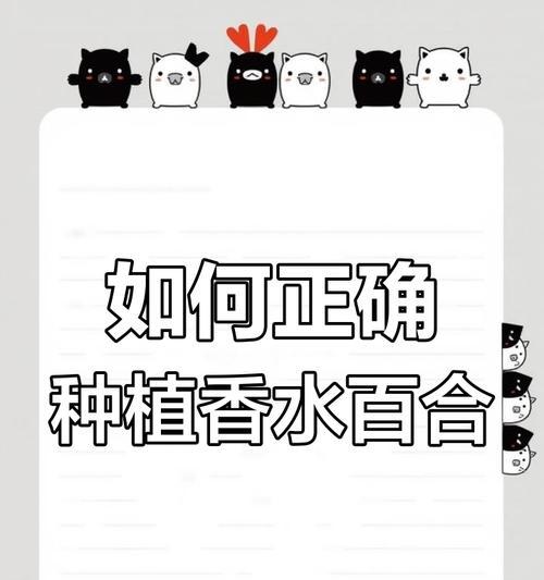 网站体验差？揭秘10个常见误区及其解决方法