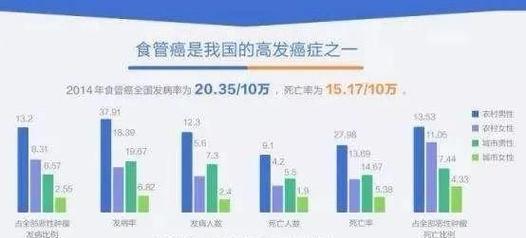 哪些因素导致网站排名一直没动静？如何优化提升？