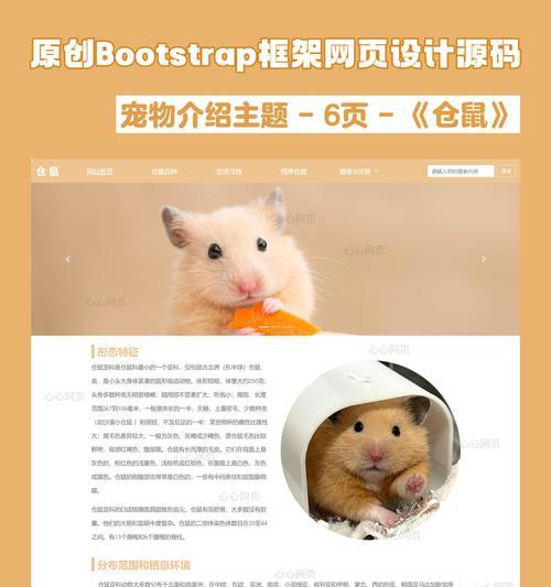 网站页面设计有哪些优缺点？
