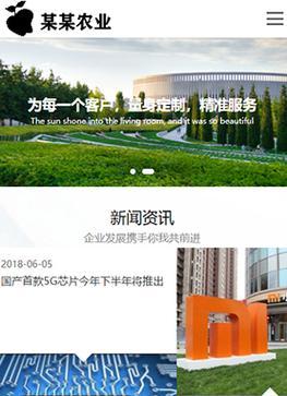 高端网站建设中如何融入SEO策略？