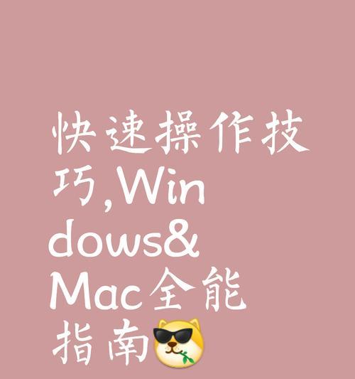 如何选择合适的关键词搜索引擎工具？
