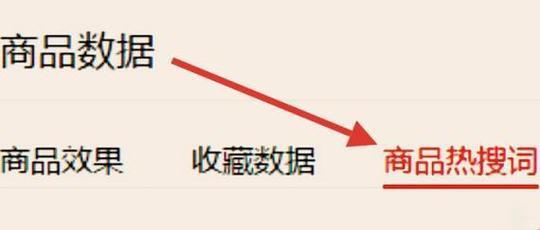 2025年关键词优化与网站速度如何并进？