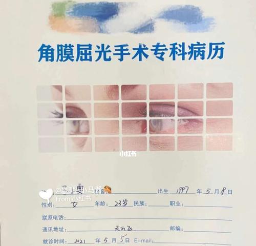 Yanke俄罗斯搜索引擎有何特色？